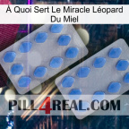 À Quoi Sert Le Miracle Léopard Du Miel 20
